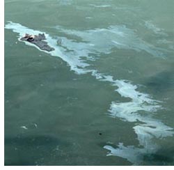 oil spill photo november 8 2007 by franke james