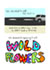 We Dreamed of Wild Flowers