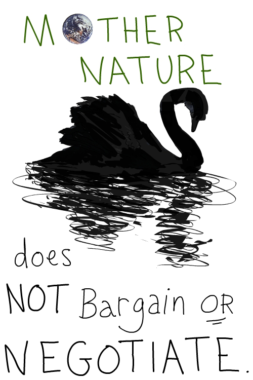 drawing of black swan by Franke James