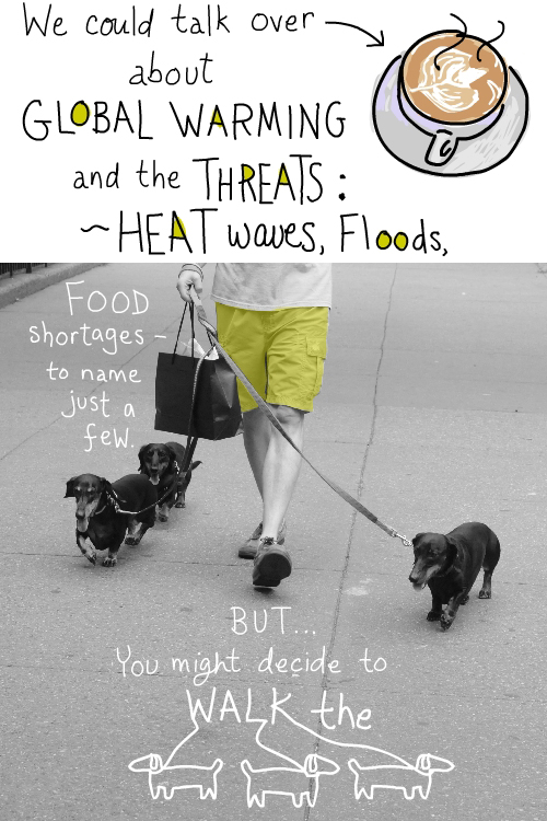 we could talk over coffee about global warming photo of 3 dogs being walked by Franke James