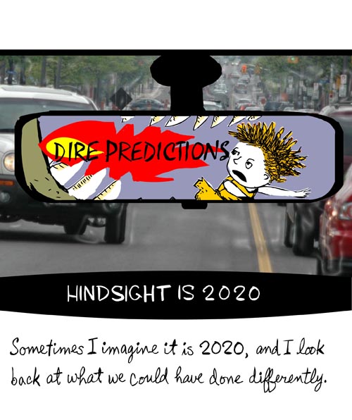 franke james illustration of 2020 hindsight franke james illustration of 2020 hindsight