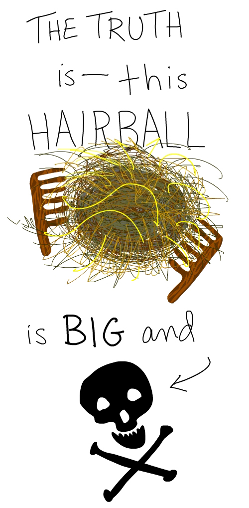 hairball Illustration by Franke James