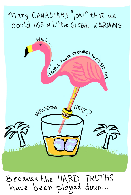 Flamingo Florida north illustration by Franke James
