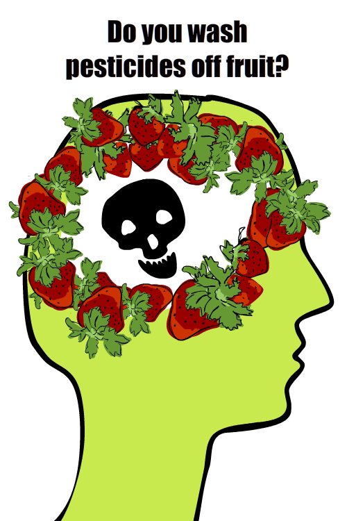 Green Conscience illustration with circle of strawberries by Franke James