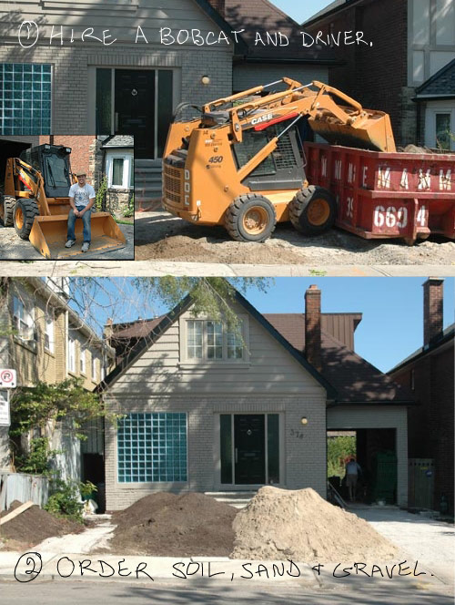 bobcat and dirt photos by franke james