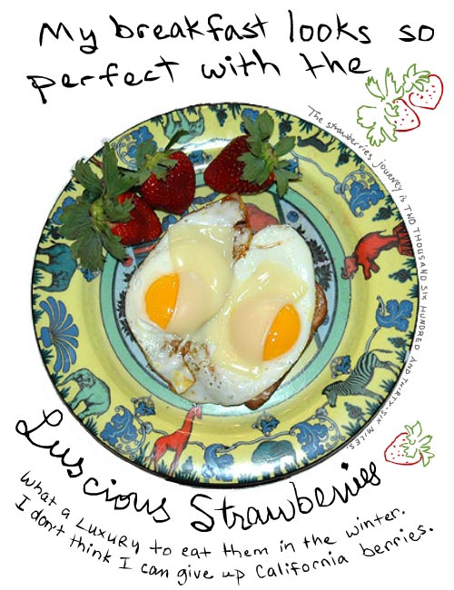franke james photo-illustration of brunch My breakfast looks so perfect the luscious strawberries. What a luxury to eat them in the winter...
