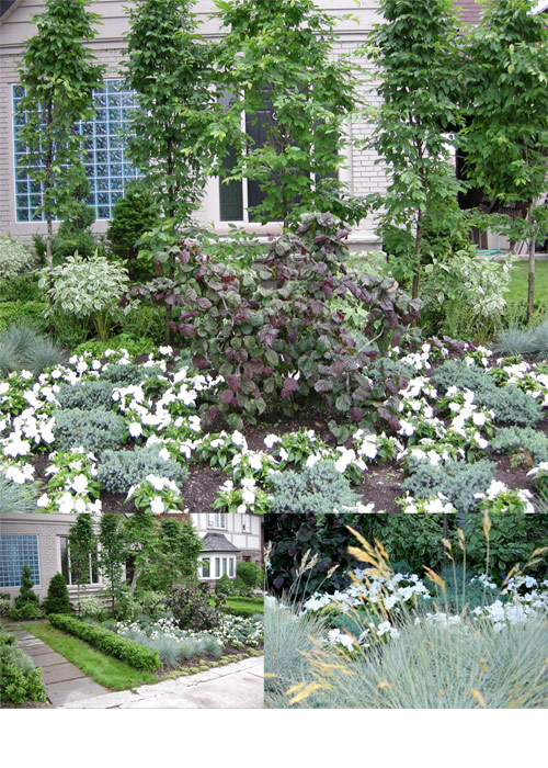  garden photo by franke james