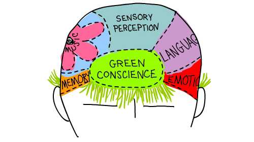 green brain illustration by Franke James