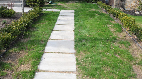 green driveway in April 2008 by franke james