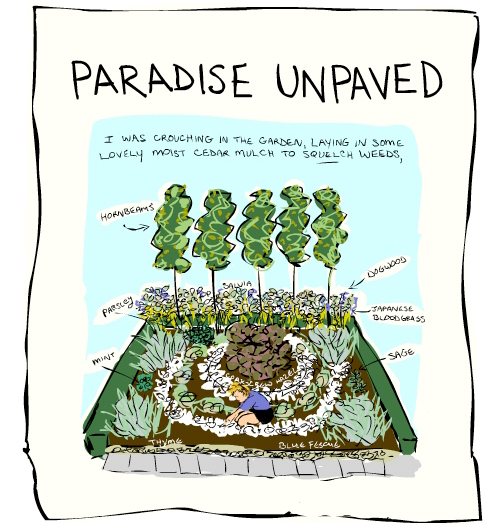 Paradise Unpaved illustration by Franke James;
