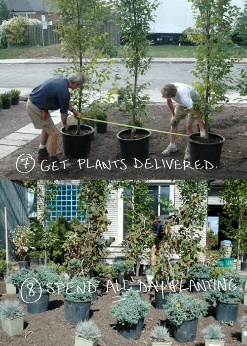 planting photo by franke james