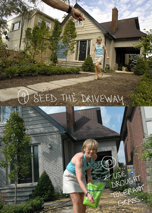 planting photos, top by lucas oleniuk licensed from the toronto star, bottom by bill james