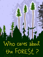 Who cares about the Forest?
