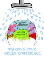 Sparking Your Green Conscience