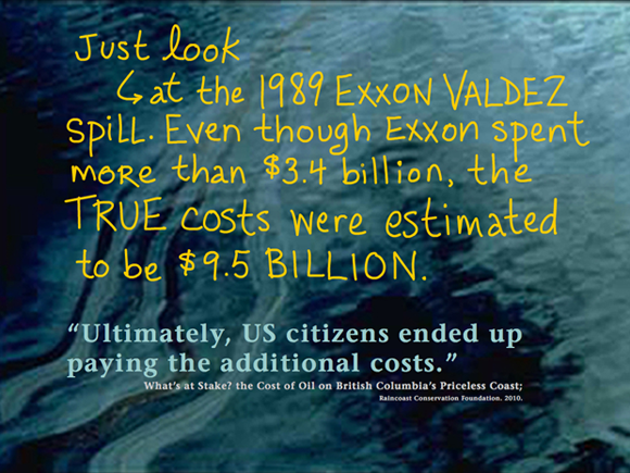 One big spill could wipe out B.C.'s entire tax revenue of $1.2 billion -- which is forecast over 30 years; writing by Franke James; Dogwood Initiative 'No Tankers Loonie Decal'; Photo 'Ultimately, US citizens ended up paying the additional costs.' source: What's at Stake? the Cost of Oil on British Columbia's Priceless Coast; Raincoast Conservation Foundation. 2010.