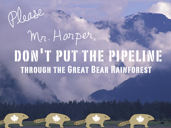Please Mr Harper Don't Put the Pipeline Through the Great Bear Rainforest. Photo Ian McAllister, Pacific Wild, type illustration by Franke James