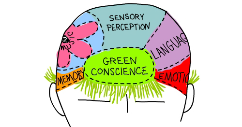 green conscience brain Illustration by Franke James