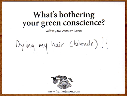 feedback card from Bothered by My Green Conscience book event